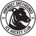 Haringey Greyhounds (@greyhoundsihc) Twitter profile photo Haringey Greyhounds (@greyhoundsihc) Twitter profile photo