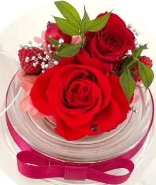 m_yokogawa's profile picture. 