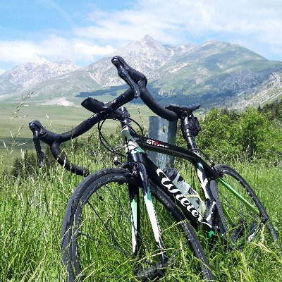 AndreaCarapaz's profile picture. 