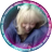 rnkx_x
