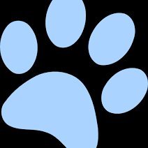 @WildcatsBB2024