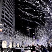 いろは (@iro8o) 's Twitter Profile