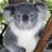 PCPNursery's profile image