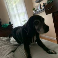 Karsky (@karsky) 's Twitter Profile