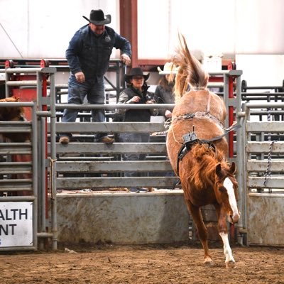 Owner of 4-E Bucking Horses, 4th generation grain producer, consultant, husband to a very patient wife and Dad to two badass cowgirls