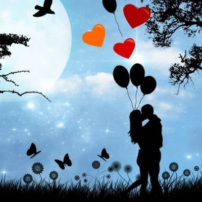 NoorFaiz17439's profile picture. 