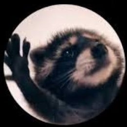 Pedro The Racoon
Telegram: https://t.co/jVgWKyljqx
Zealy: https://t.co/x7MUmQGEln
❗️Launching soon on Pinksale❗️
