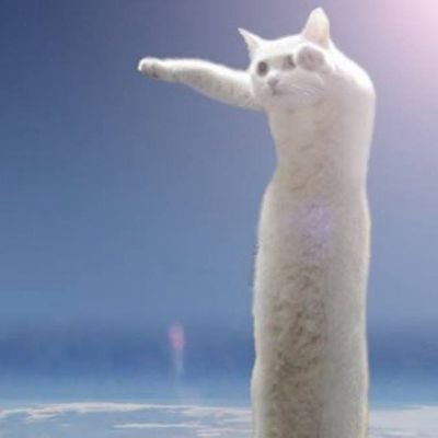 Serangan Fajarさんのプロフィール画像