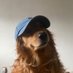ouzophren (@hugojmt_) Twitter profile photo ouzophren (@hugojmt_) Twitter profile photo