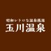 昭和レトロな温泉銭湯 玉川温泉 (@onsentamagawa) Twitter profile photo 昭和レトロな温泉銭湯 玉川温泉 (@onsentamagawa) Twitter profile photo