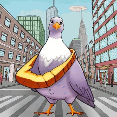 PigeonGANGSol Profile Picture