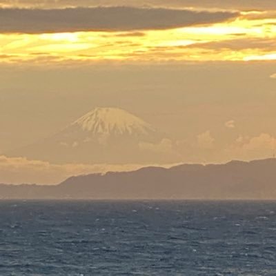shunta090989's profile image