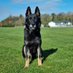National K9 Memorial (@k9memorialuk) Twitter profile photo National K9 Memorial (@k9memorialuk) Twitter profile photo
