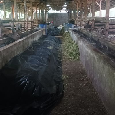 TnDexa's profile picture. Sholat di Masjidil Al Harom di Mekkah,  Masjid Nabawi di Madinah, dan Masjid AlAqsho di Paleatina. #Aamiin
youtube: Deka Kastalo