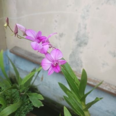 kristi_251275's profile picture. When you look at your life, the greatest happiness are family happiness...