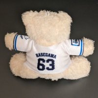 カシス⚾️🦁 (@cassisbb24) 's Twitter Profile