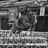 haarper_bergge's profile picture. 🧚🏼
clarasesamyagency