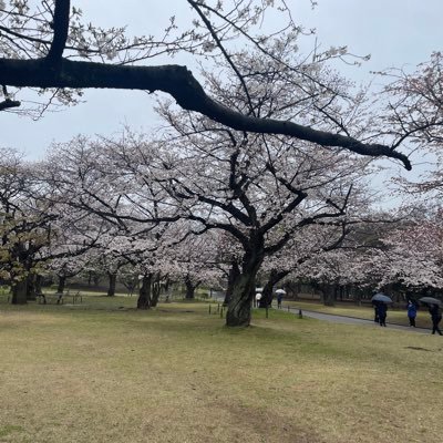 anJXwD88zO81176's profile picture. 21歳、東北住み！    お話しできたら嬉しいです！ 気軽に声かけてください！