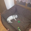 Geraldine Kraus - @GeraldineKraus - Twitter