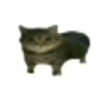 Wolfeet (@wolfeet2) 's Twitter Profile