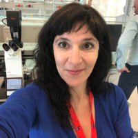 Ermelinda Macoas (@ermelindamacoas) 's Twitter Profile