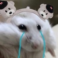 ๋๋ (@duddu_uuu) 's Twitter Profile Photo ๋๋ (@duddu_uuu) 's Twitter Profile Photo