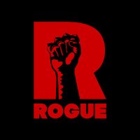 Rogue Games(@Rogue_Co) 's Twitter Profileg