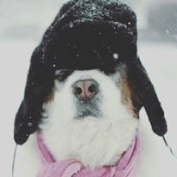 youdontknowme (@frizzbites) 's Twitter Profile