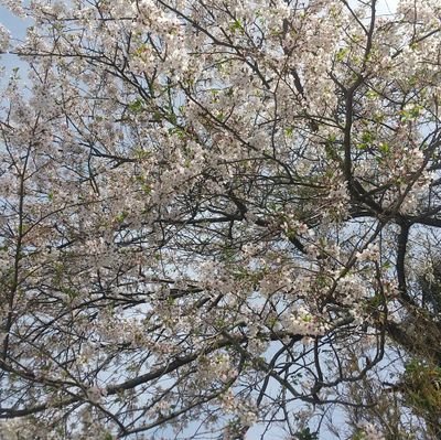 7v2QUIJOeI39880's profile picture. 