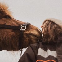 Johanna Stenfelt (@johannastenfelt) 's Twitter Profile Photo Johanna Stenfelt (@johannastenfelt) 's Twitter Profile Photo