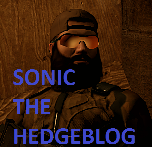 SonicHedgeBlog's profile picture. Videogame Nonsense