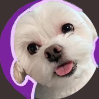 𝑶𝑽𝑬𝑹 𝑻𝑯𝑬 𝑴𝑶𝑶𝑵 🍀5월16일 (@overthemoonvjin) 's Twitter Profile