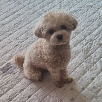 DarK (@dark_vlrt) 's Twitter Profile Photo DarK (@dark_vlrt) 's Twitter Profile Photo