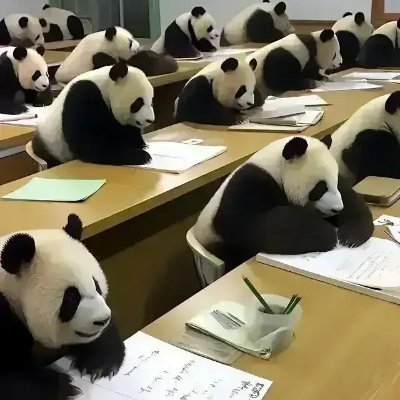 2127721837Liu's profile picture. 