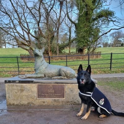 We raised £35000 & built a memorial for the Police Dogs of Scotland past, present  & future. We are in Pollok Country Park. SC050466