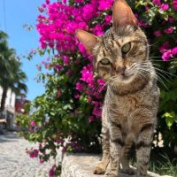 Busece (@ayca78573914371) Twitter profile photo