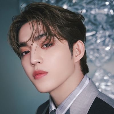 ﹙ 𝐑𝐏 ﹚┊1995, Say the name, SEVENTEEN! your favourite cherry boy with the best rap skills, also a leader of Hiphop Team. Choi Seungcheol.