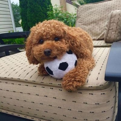 NdianaNyon49595's profile picture. A Food processing engineer, satellite installation,Electrical Engineer,Web Designer(UI, Ux ), Crypto Enthusiast,Forex trader, Data Analyst & Entrepreneur etc