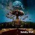 Solidity Wolf (@olfsolidit) Twitter profile photo Solidity Wolf (@olfsolidit) Twitter profile photo