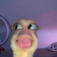 ruthhh (@__rxthmv) 's Twitter Profile