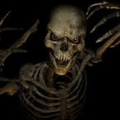 PIGIRON199's profile picture. 