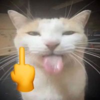 chaos (@peach1cetea) 's Twitter Profile