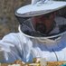 Beekeeping in Maine 🐝 🍯 🐝 (@njhamlin) Twitter profile photo Beekeeping in Maine 🐝 🍯 🐝 (@njhamlin) Twitter profile photo