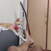 अनभिज्ञ (@pankaj_dhi) 's Twitter Profile