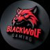 BlackWolf Gaming 🐺 🚫🥶 (@BWGaming56) Twitter profile photo