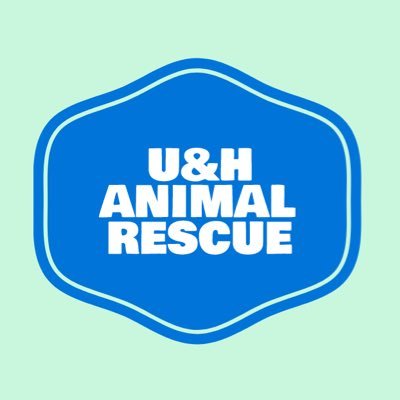 UHanimal_rescue Profile Picture