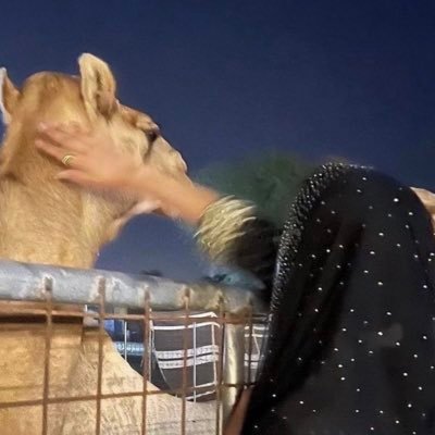 36_nwal's profile picture. FB| 🎶