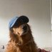 Escovabit (@escovabit_) Twitter profile photo Escovabit (@escovabit_) Twitter profile photo