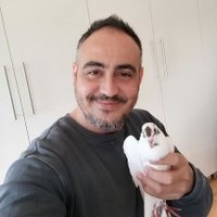 Onur Efe Şimşek(@OnurEfeimek) 's Twitter Profile Photo