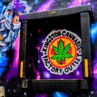 Kingston.Cannabis.Inc (@kingston_canna) 's Twitter Profile